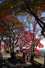 2014紅葉　太平山県立自然公園