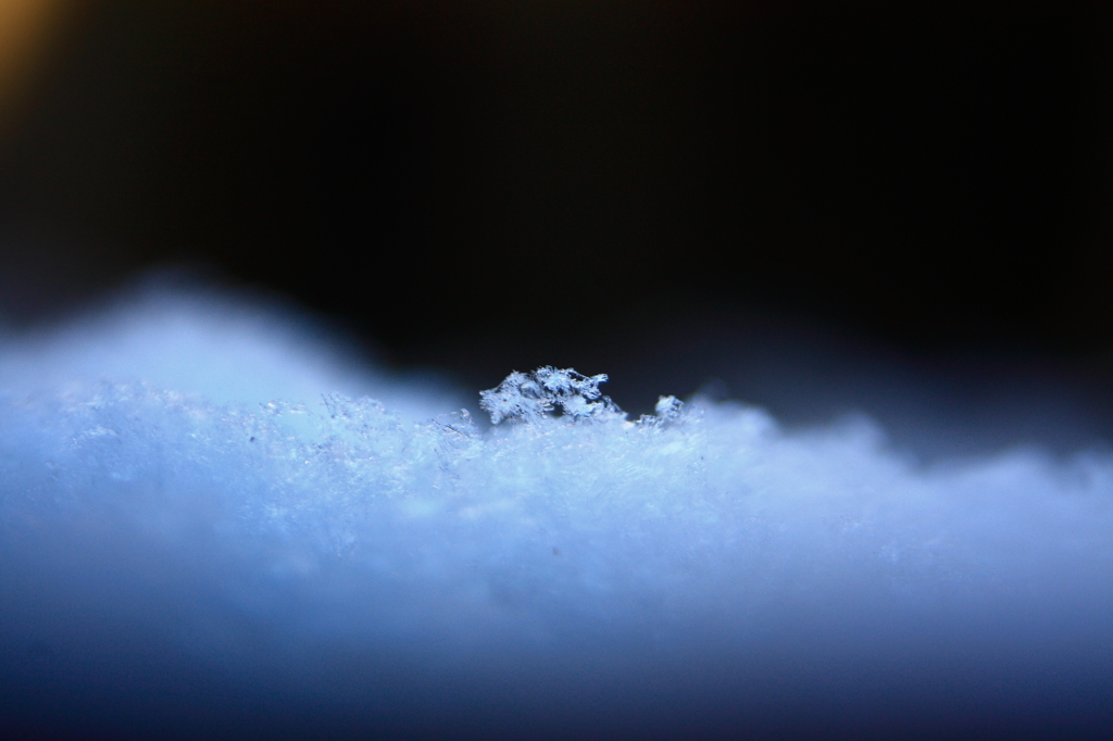 雪の朝
