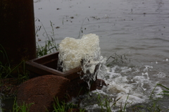 水