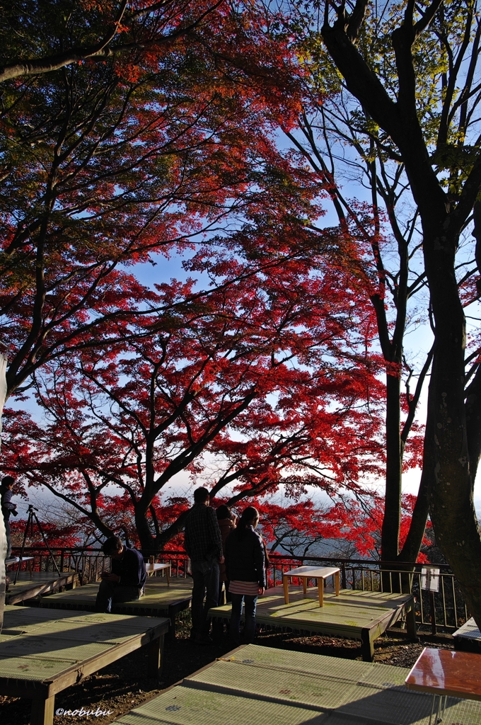 2014紅葉　太平山県立自然公園