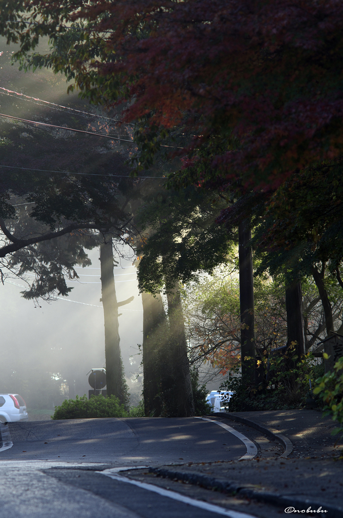 斜めに射す朝日