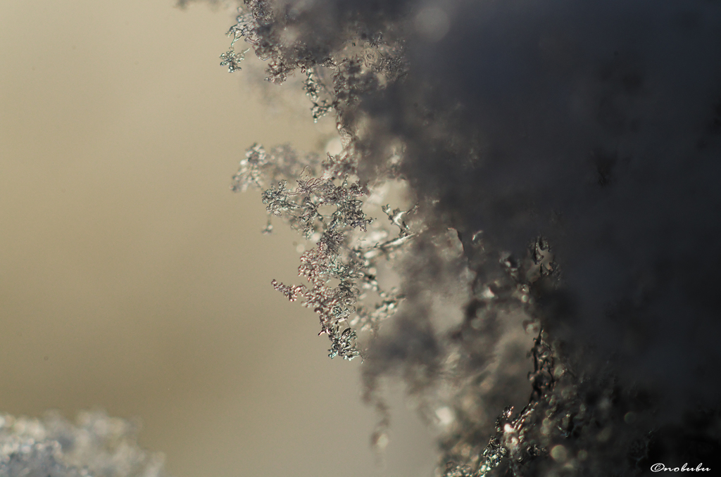 雪の