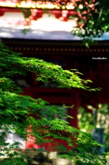 三重塔