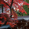 高幡不動尊