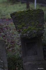 苔むす
