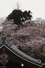 大山寺