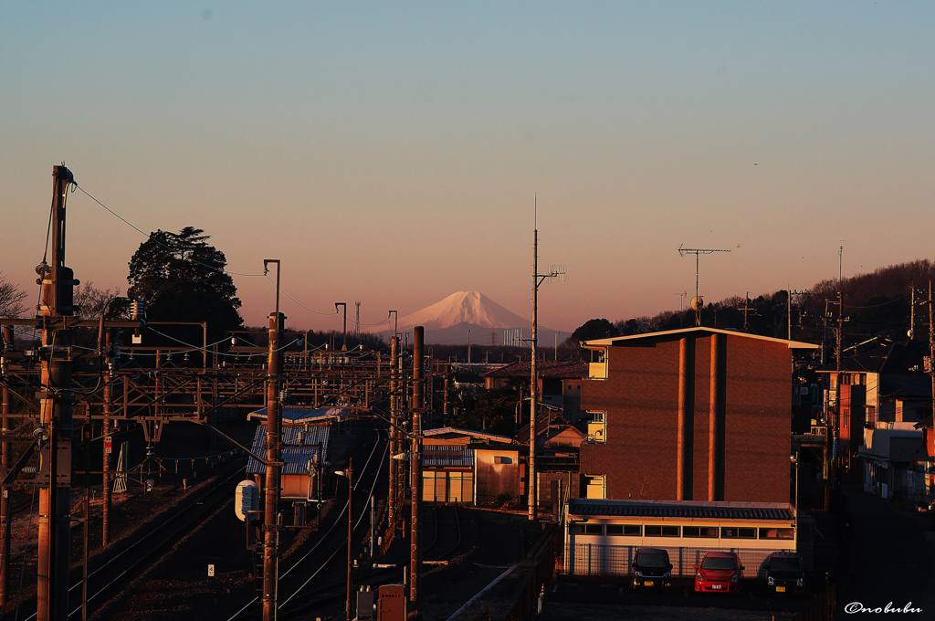 富士山