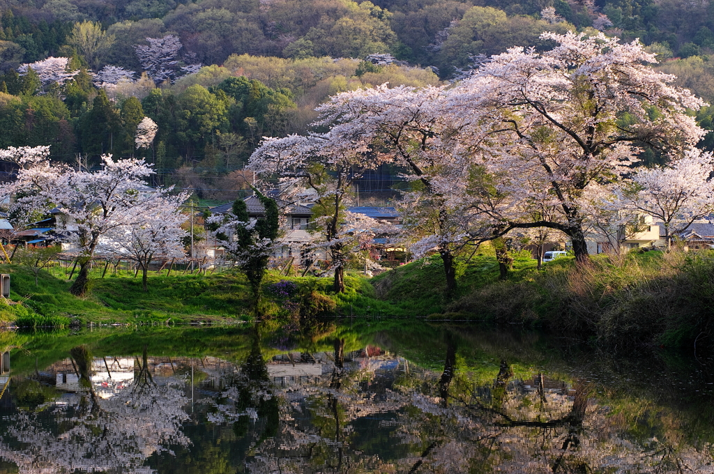 里の春