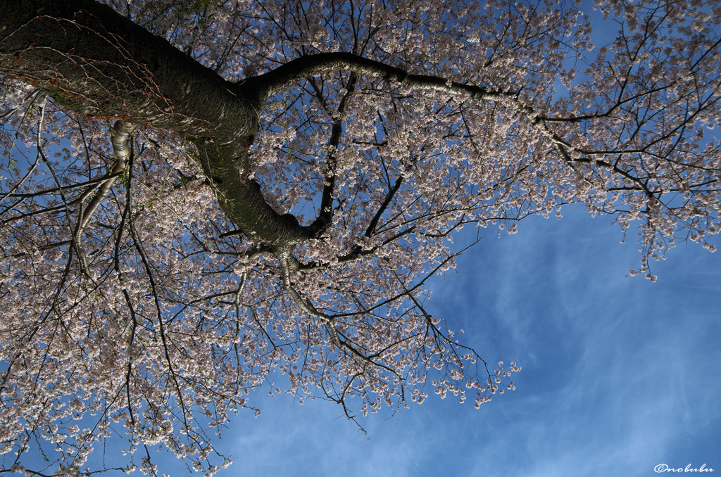 青空