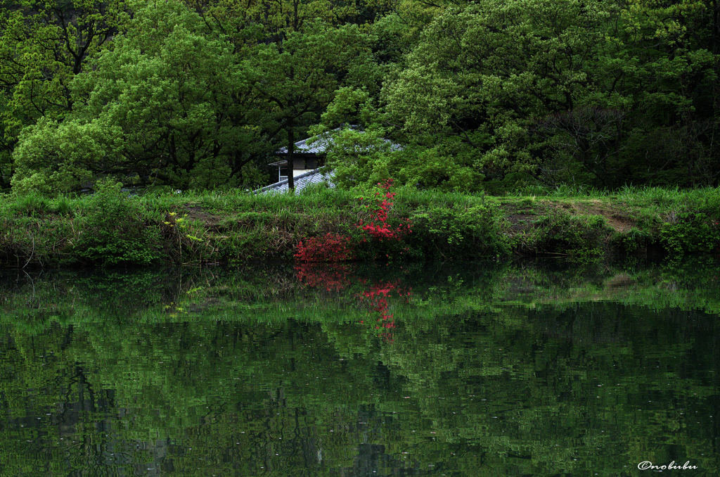 溜池の春