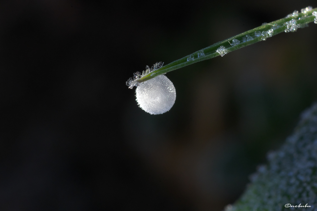 冷たい線香花火