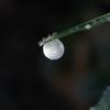 冷たい線香花火