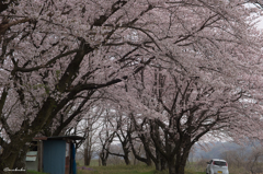 小野寺駅跡