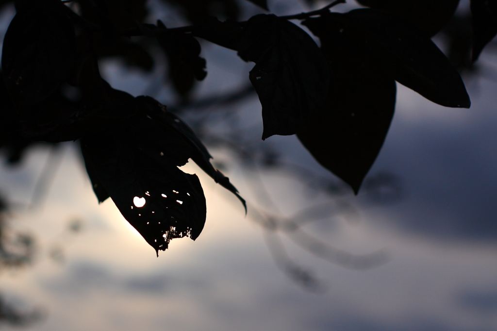 ハートの覗き穴