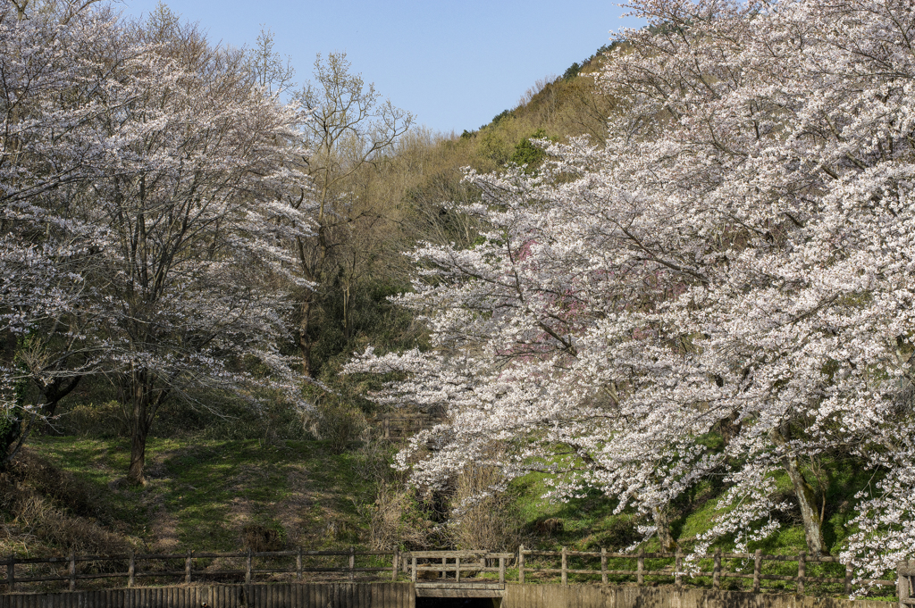池の上