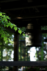 鐘