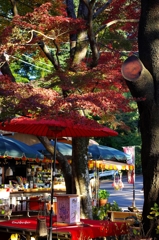 2014紅葉　太平山県立自然公園