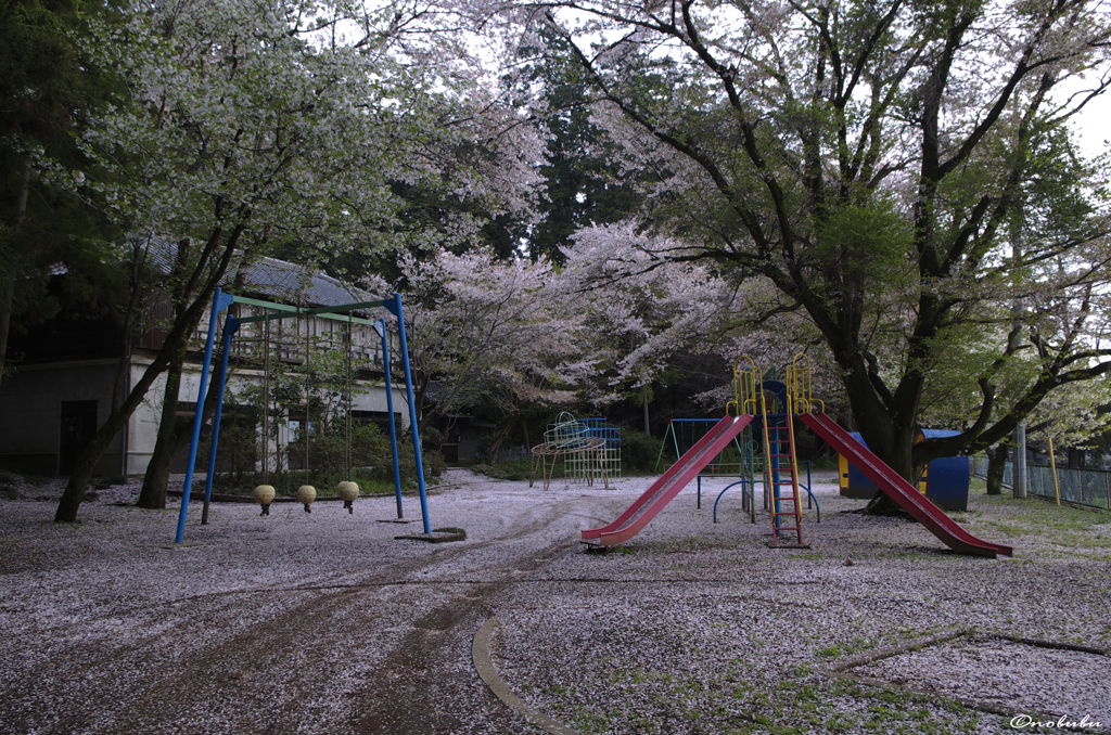 桜の公園