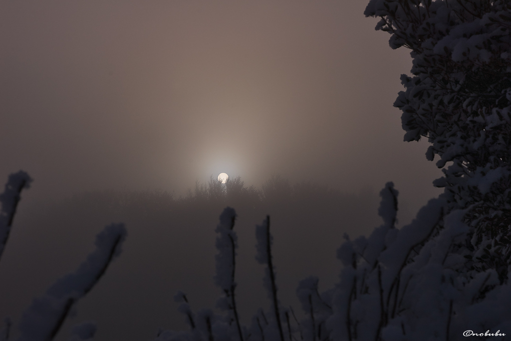 雪と太陽