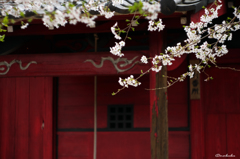 神社と
