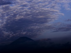 IMG_4559