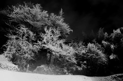 IMG_5752