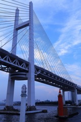 IMG_3710