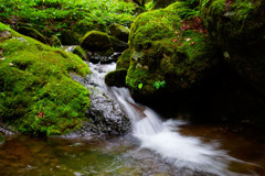 DSC02517