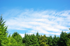 空