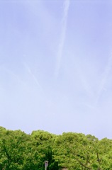 公園４