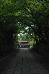 向日神社