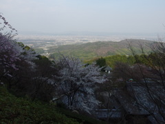 善峰寺