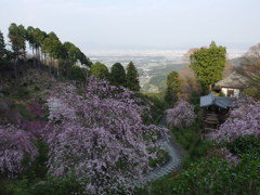 善峰寺