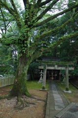 向日神社