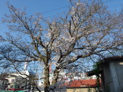 IMGP0281