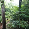 DSC06416