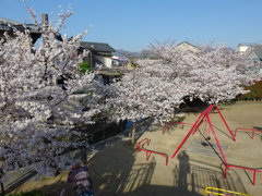 IMGP0301