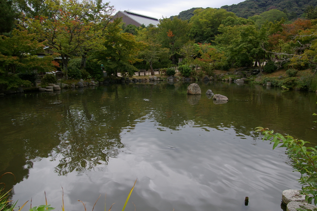 京都円山公園