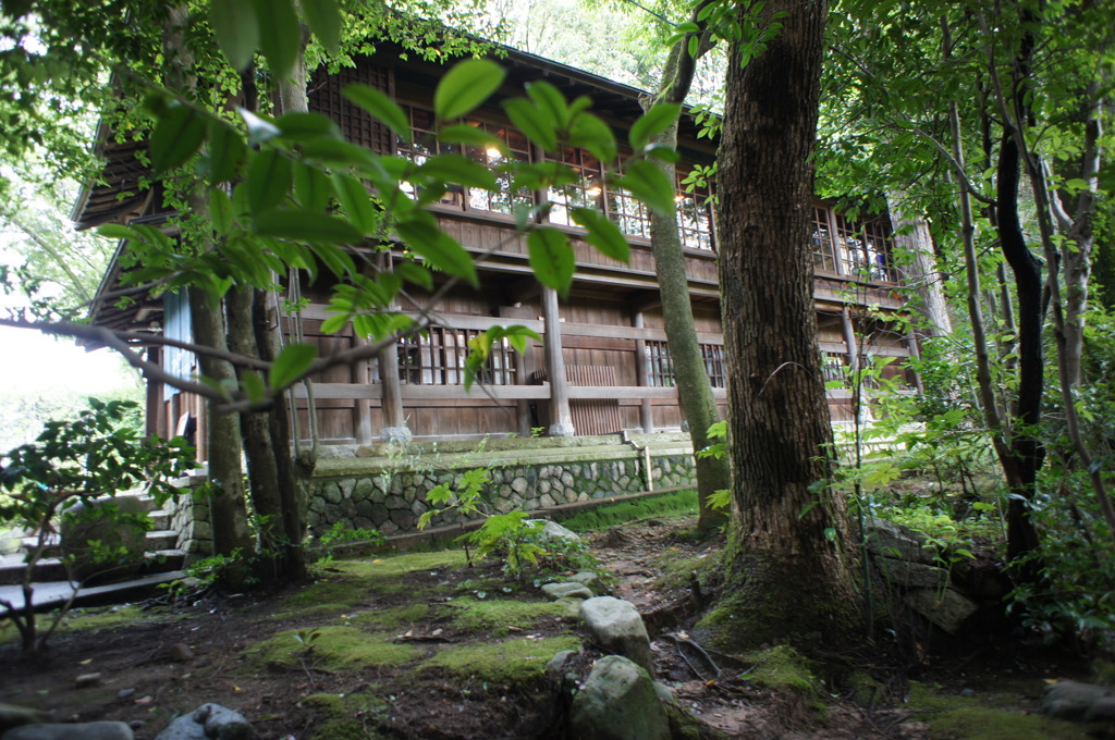 DSC06408