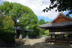 向日神社