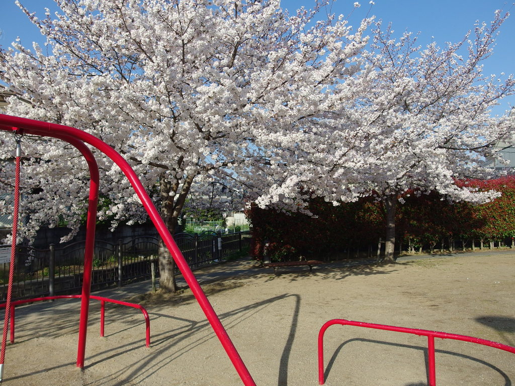 IMGP0292