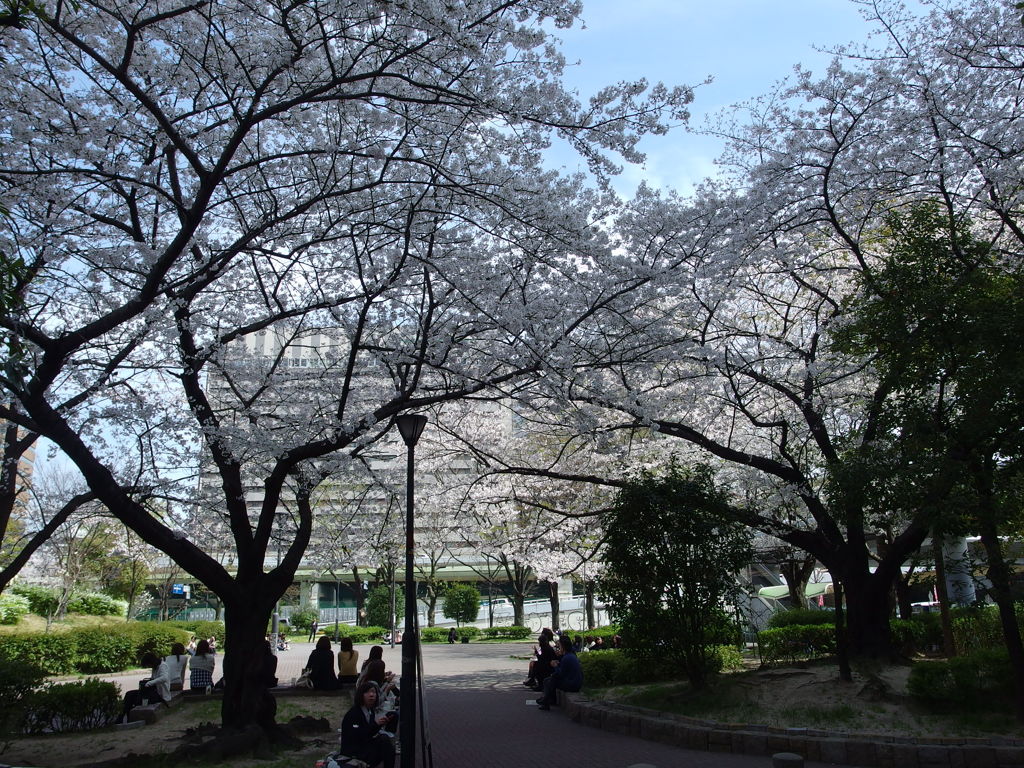 IMGP0169