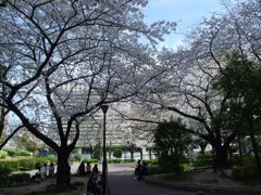 IMGP0169