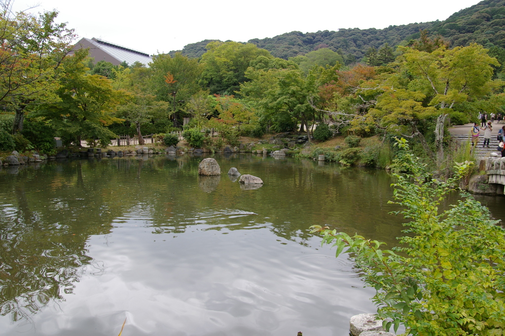 京都円山公園