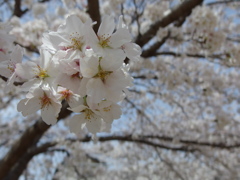 IMGP0166