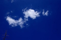 DSC04804