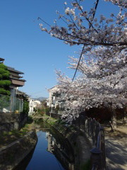IMGP0291