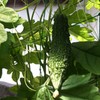 DSC04800