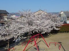 IMGP0302