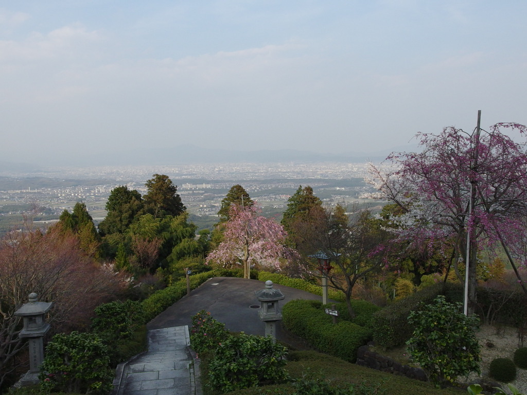 善峰寺